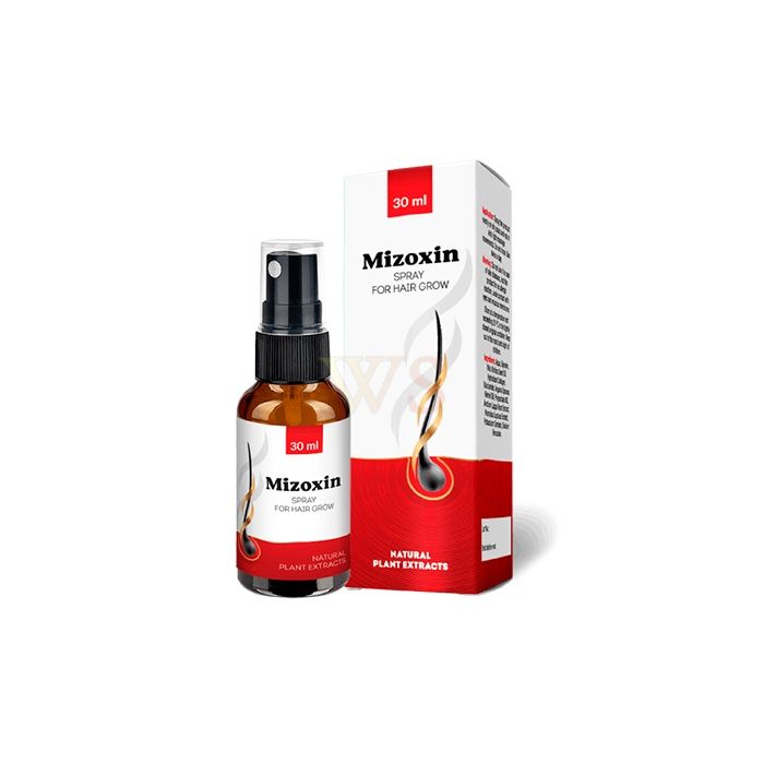 Mizoxin - hair restoration product