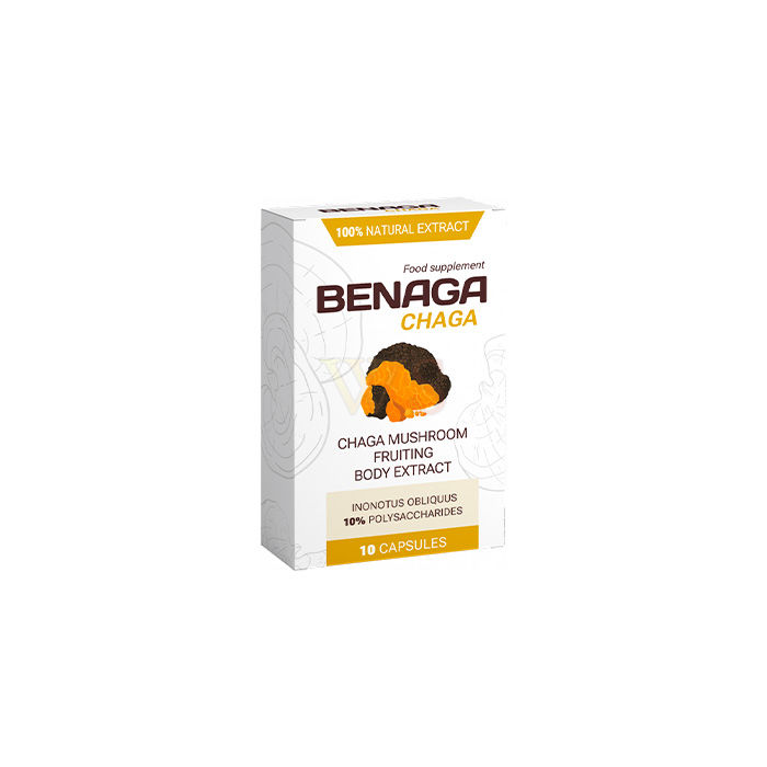 Benaga Chaga